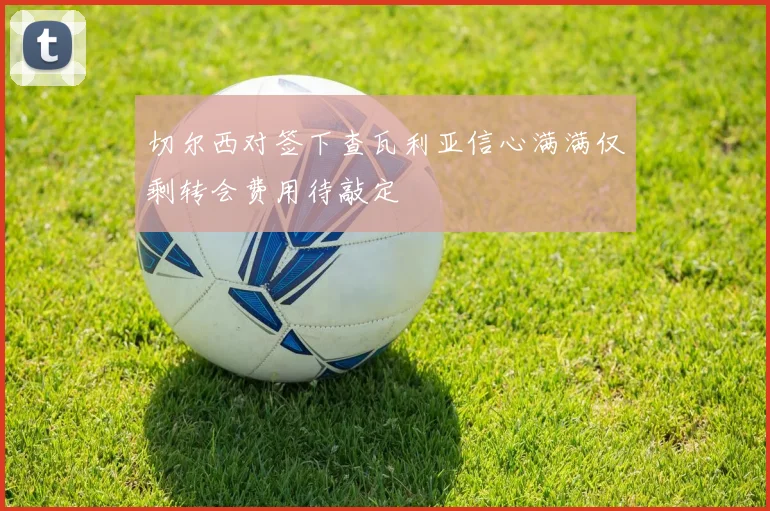 切尔西对签下查瓦利亚信心满满仅剩转会费用待敲定